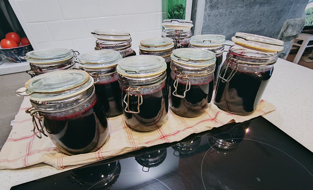 ElseKruskopf's tweet image. Hyvää huomenta. Aamulla kurkistin ikkunasta kun kuului moottorisahan ääniä. Naapurin tontilla sahattiin oksia ja seuraavan talon kattoa pestiin. Ei enää nukuttu😂Minä hilloilin mustikoilla talven varalle🫐 Iltamaalaus👍Kesätorstaihin 😊#Finland #Helsinki #treecutting #bluberryjam