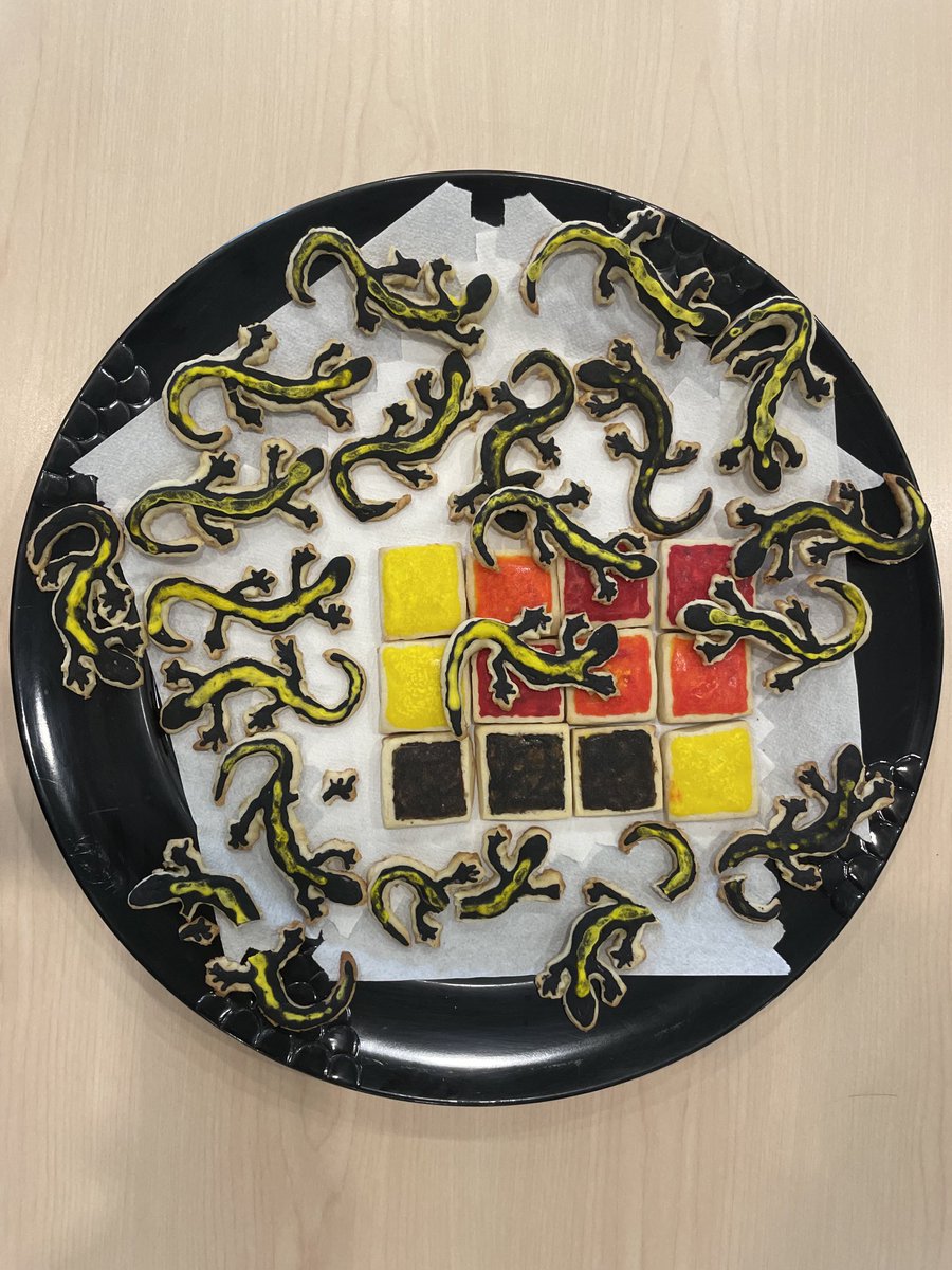 NorthernNiches's tweet photo. Another student gets the “boot”! A huge congrats to ⁦@FinnKaegan⁩ for a spectacular job defending his MSc thesis on species distribution models and salamander conservation! (Nerdy lab cookie tradition continues as well!) https://t.co/D2sqIJHuUL