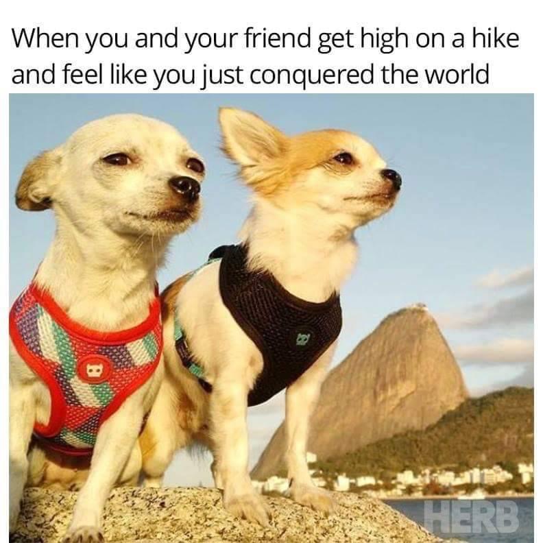 bentdashbox's tweet image. 