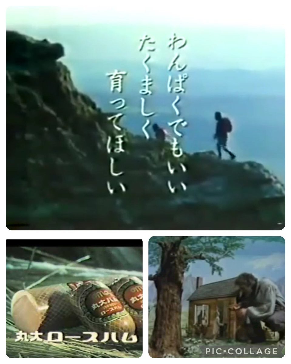 活動歴および当時の関連ビジュアル記録