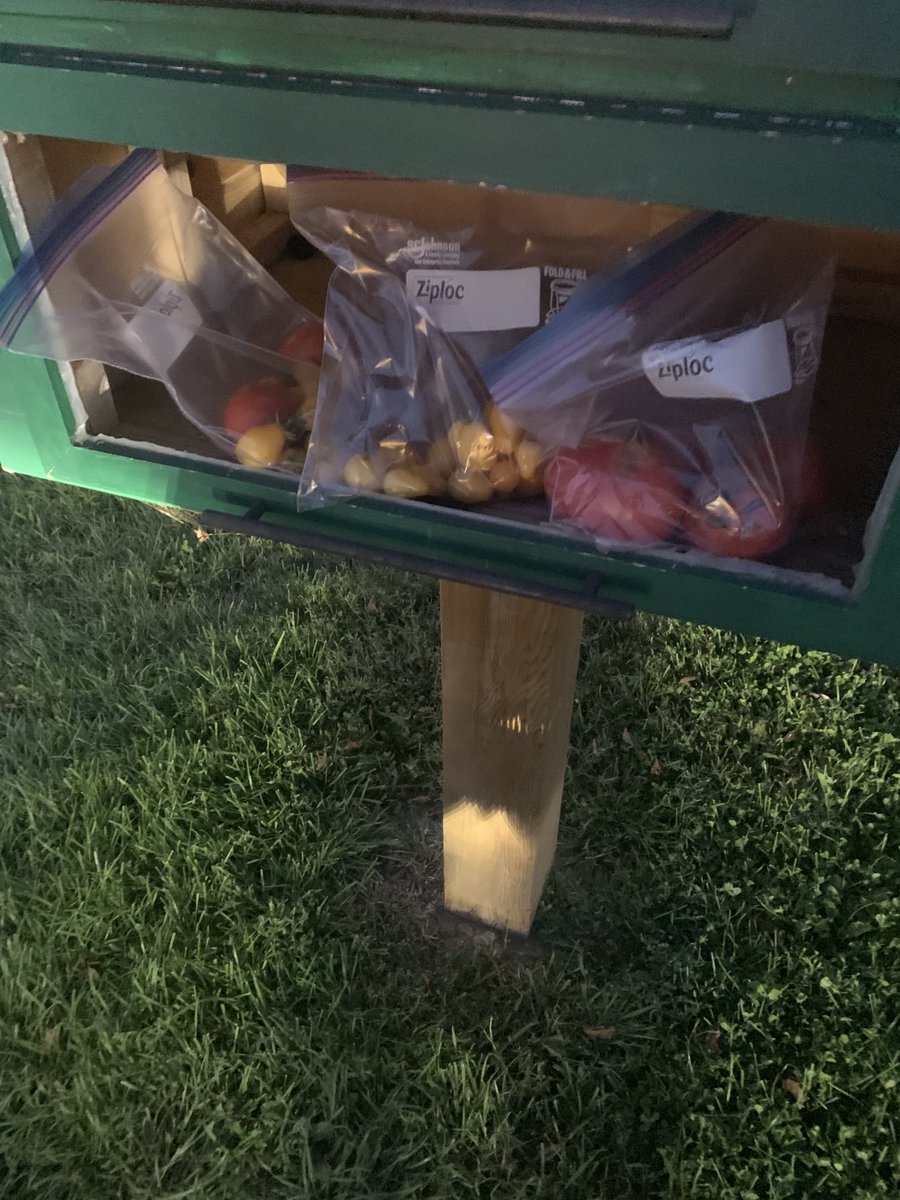 From the school garden to the food pantry. What a success. ⁦<a href="/SEWchargers/">SEWchargers</a>⁩