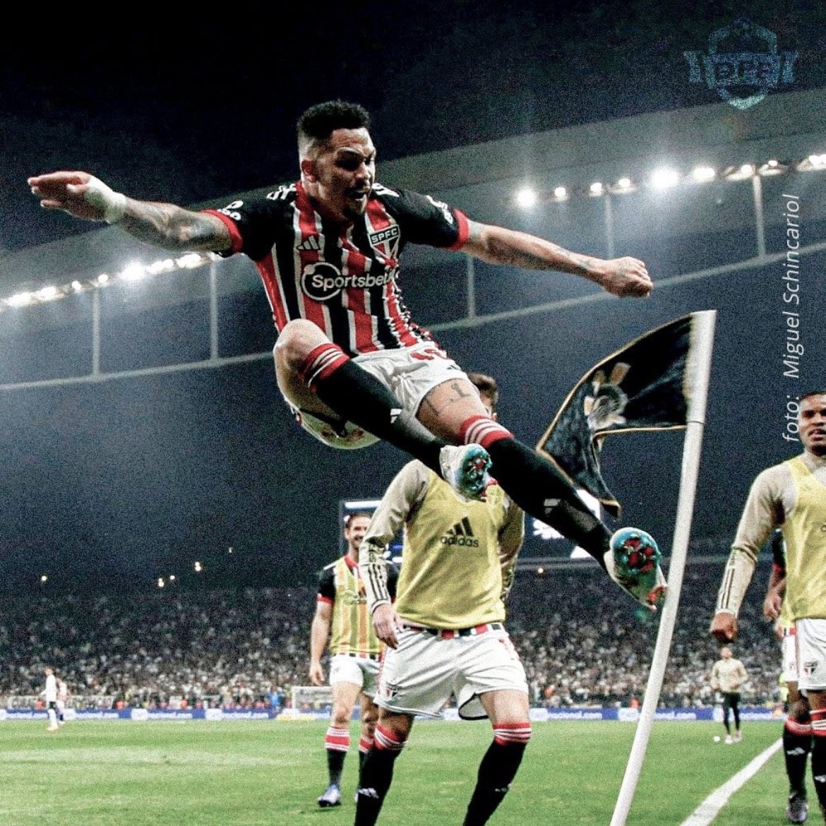 riangomes🇾🇪 tweet media