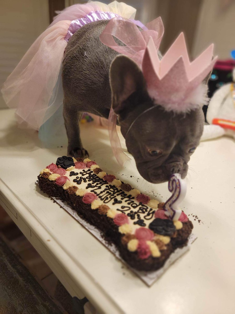 Chelsea Chandler tweet media