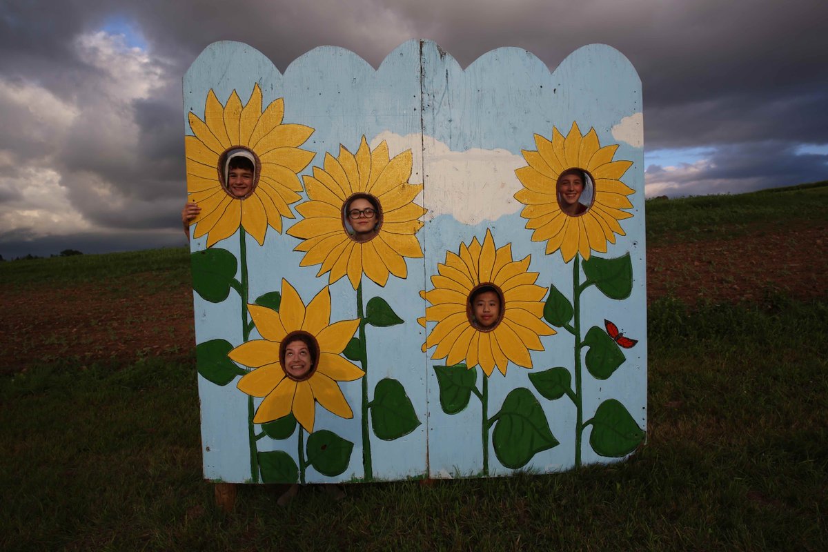camp_debate's tweet photo. Debate Overnight Camps - enriched by the outings to cool places nearby.  State parks in Maine, Niagara Falls - and today in the beautiful Annapolis Valley of Nova Scotia - a sunflower maze!  #debate #camp #novascotia #annapolisvalley #summer #camp #debatecamp2023 https://t.co/UOhmjM3yLc