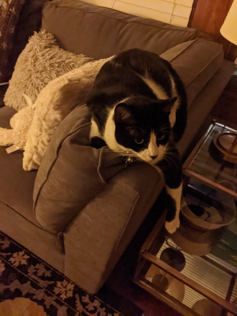 That doesn't look very comfortable...