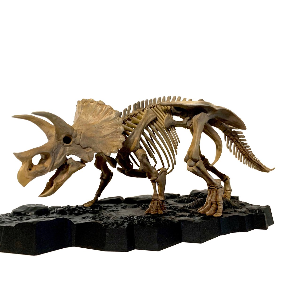kawaralab's tweet photo. #バンダイ#トリケラトプス リペイント。#bandai #imaginaryskeleton #triceratops https://t.co/UYHODh8pwu
