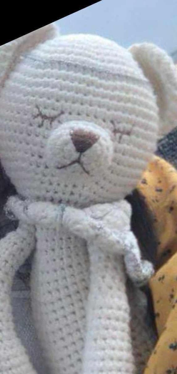 7 настай гадаад охин Монголд аялж яваад энэ тоглоомоо хаясан гэнээ, охин аавгүй бөгөөд ааваас нь үлдсэн ганц тоглоом учраас уйлаад хямраад байгаа гэнэ. Өмнөговь болон, Элсэн тасархай орчимд амрахдаа гээсэн бололтой. Тэр хавийн амралтын газрууд хэрэв олсон бол жаахан охины элгийг