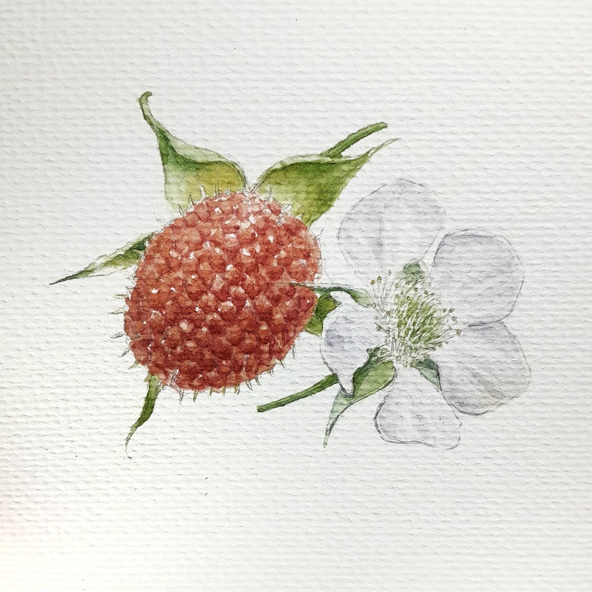 Ngomong-ngomong Rubus. Si ucenku belum sekalian tak share di sini hehe