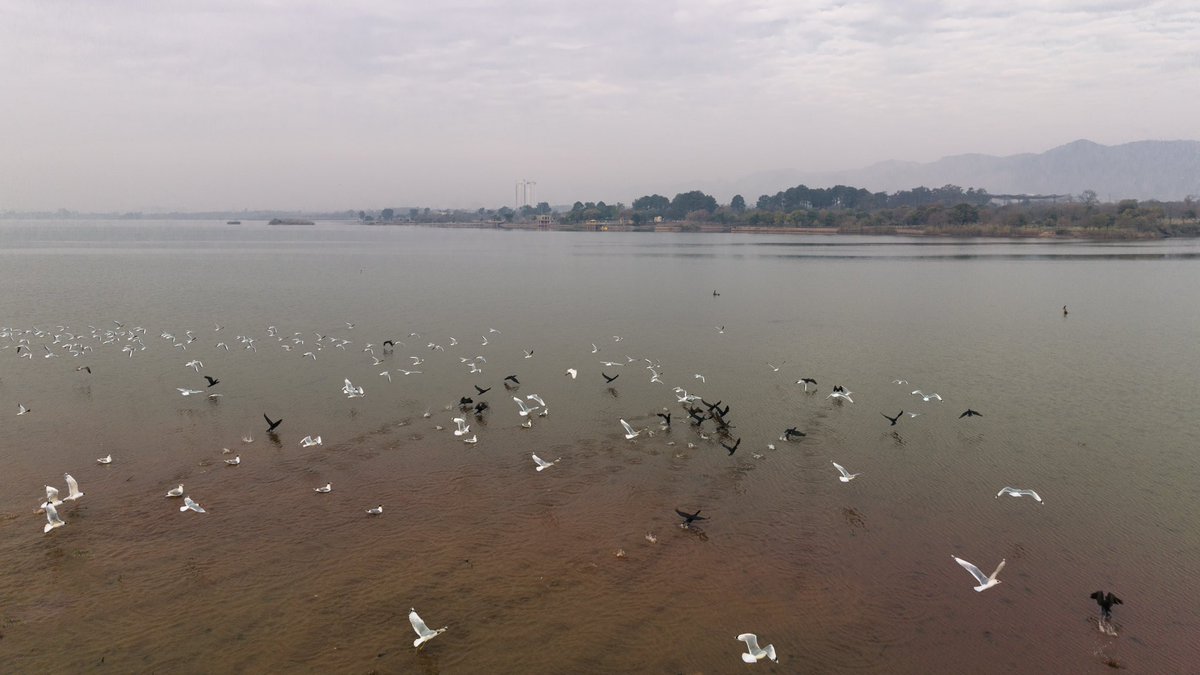 Noah | Noe Caffesse tweet media