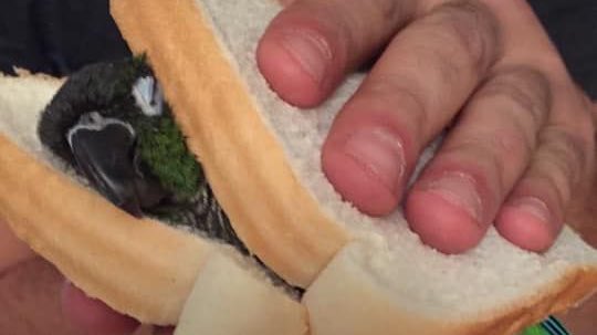 this is my fate ..
💧