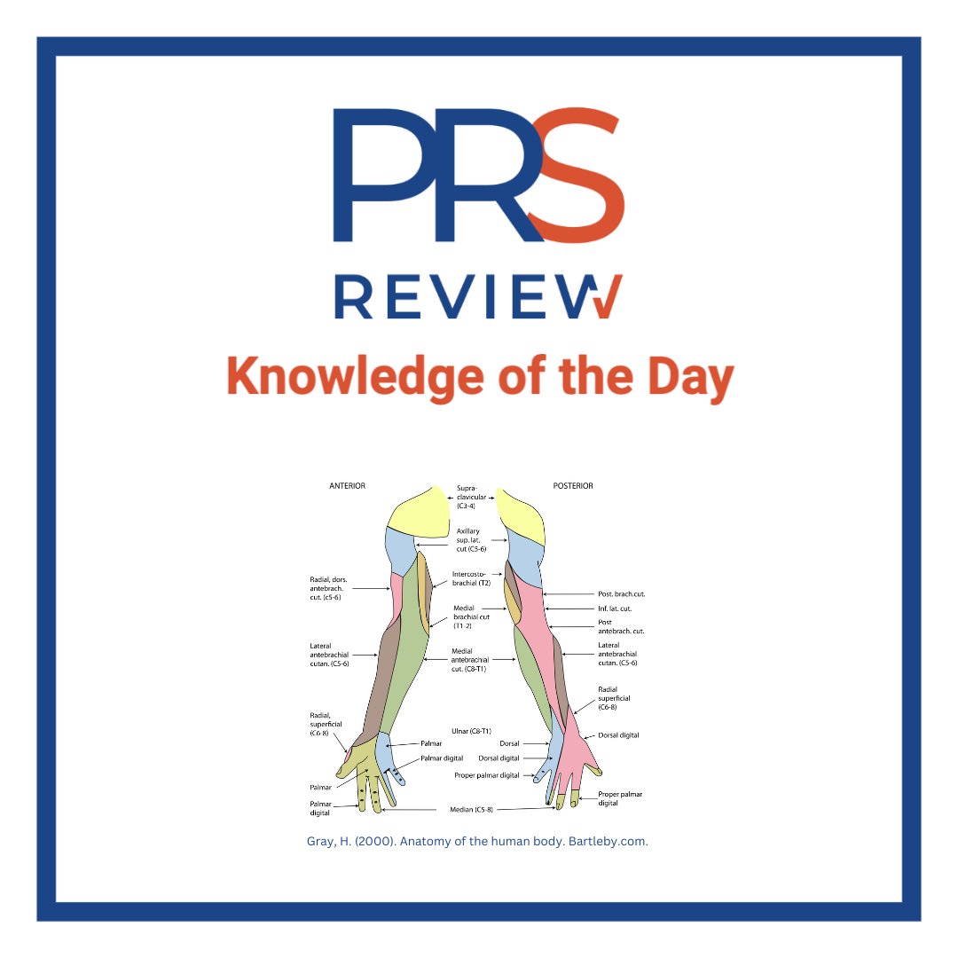 Nerve injury during brachioplasty

#prsreview #brachioplasty #nerveinjury #nervenanatomy #bodycontouring #cosmeticsurgery #aestheticsurgery #plasticsurgery #reconstructivesurgery #surgicaleducation #medicaleducation #meded #plasticsurgeryresidency #plasticsurgeon  #surgery