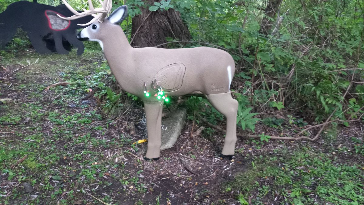 #deerseason is almost here. I'm trying to shoot more than ever this year. 1st pic is 10 yards. Second pic is 26 yards. More work to do. 
#whitetaildeer #bowhunting