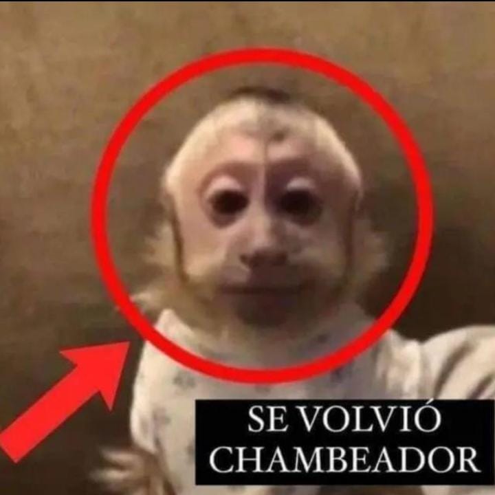 thecursedshadow's tweet photo. @monical34962530 Que graciosa es la gente pndeja https://t.co/yxu097JN0t