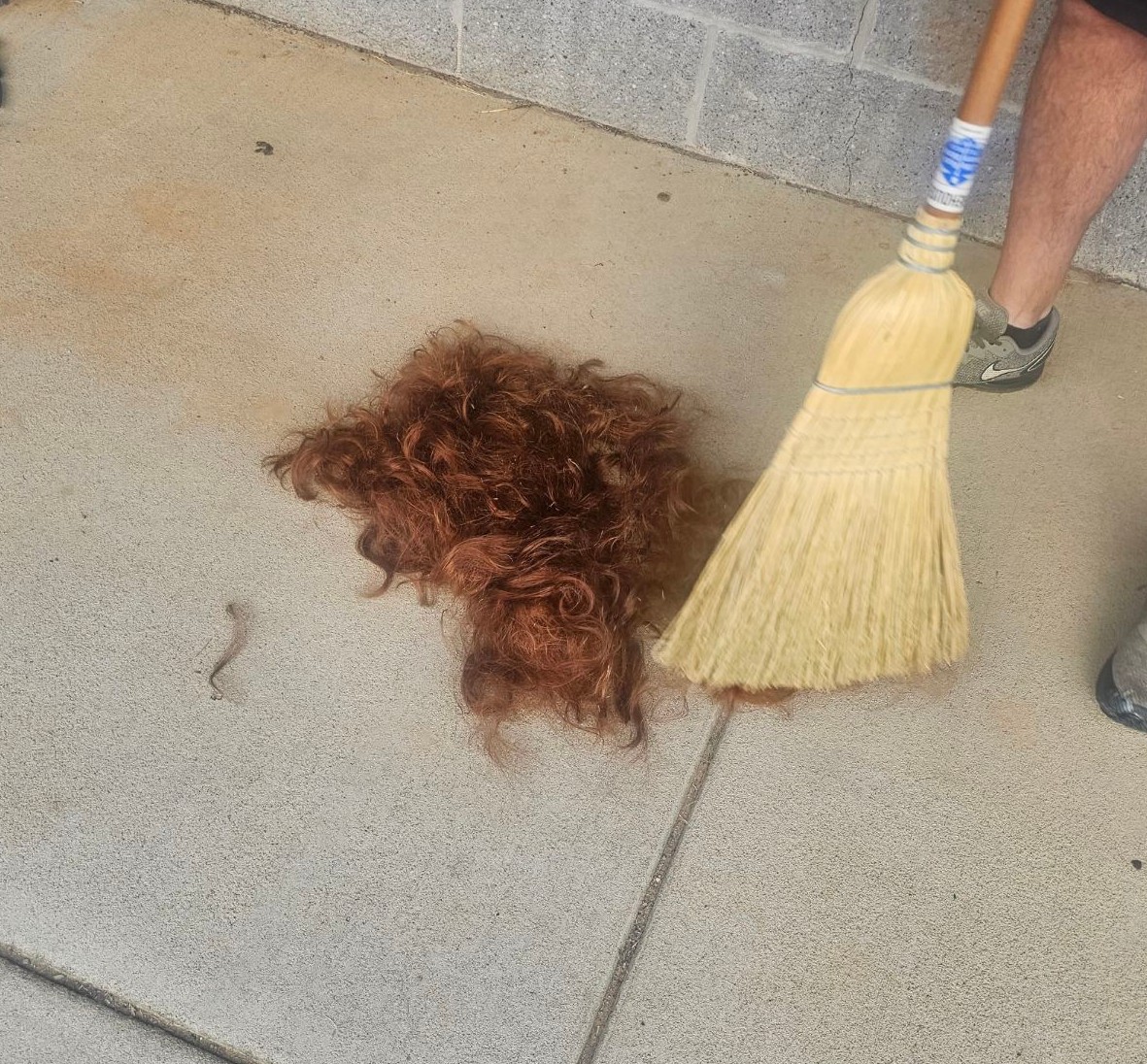 Kyle Lane tweet media