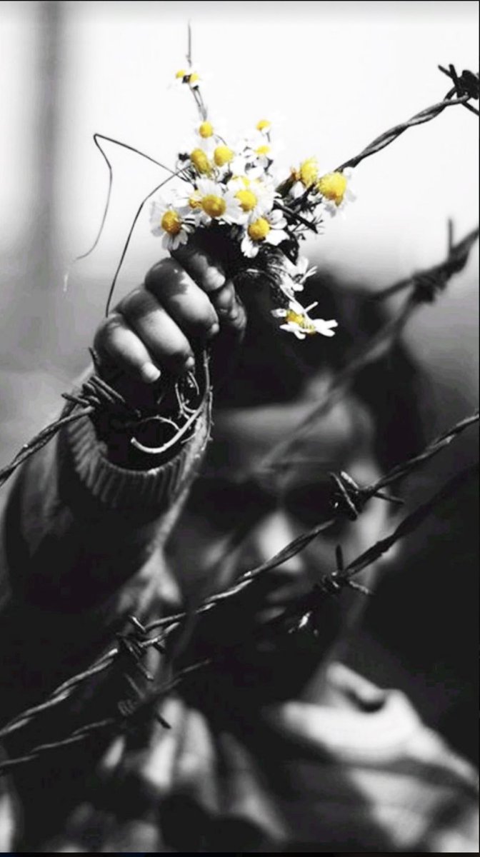 DeSementeira's tweet photo. Não entregues tua alma à tristeza, não atormentes a ti mesmo em teus pensamentos.

Eclesiastes 30:22🙏🏽 https://t.co/Q5Yz6mfRsL