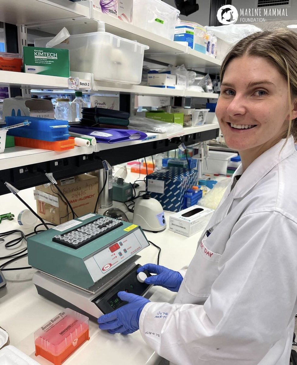 Grace_A_Day's tweet photo. Lab days doing lots of extractions with Dr Kate 🤩 
@MarineMammal_au https://t.co/GUwWJdYSH1