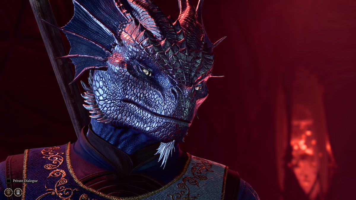 The dragonborn in Baldur's Gate 3 make some pretty great disapproving side-eye faces