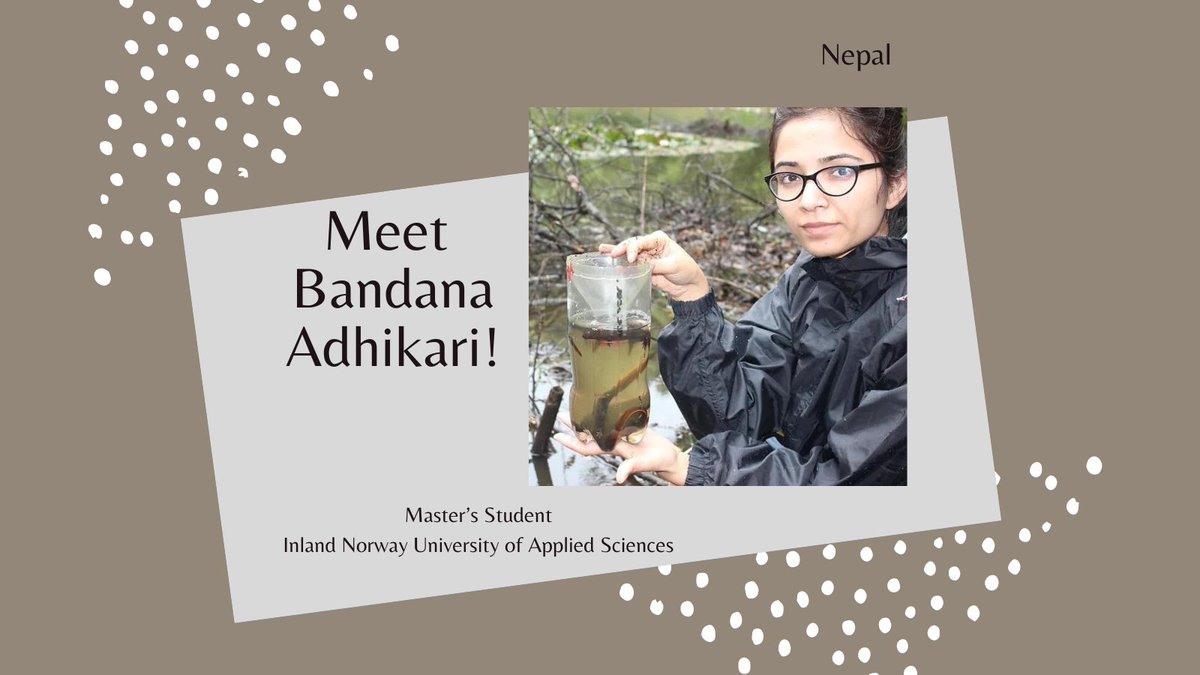 GlobalWomenHerp's tweet photo. Bandana Adhikari is our #GWHauthor of the week! Adhikari completed her Master’s research at Inland Norway University of Applied Sciences, where she compared the morphology of Himalayan #salamanders (T. verrucosus) across ponds and examined water quality #HERper #Nepal #GWHbook https://t.co/nVL4gpTqw1