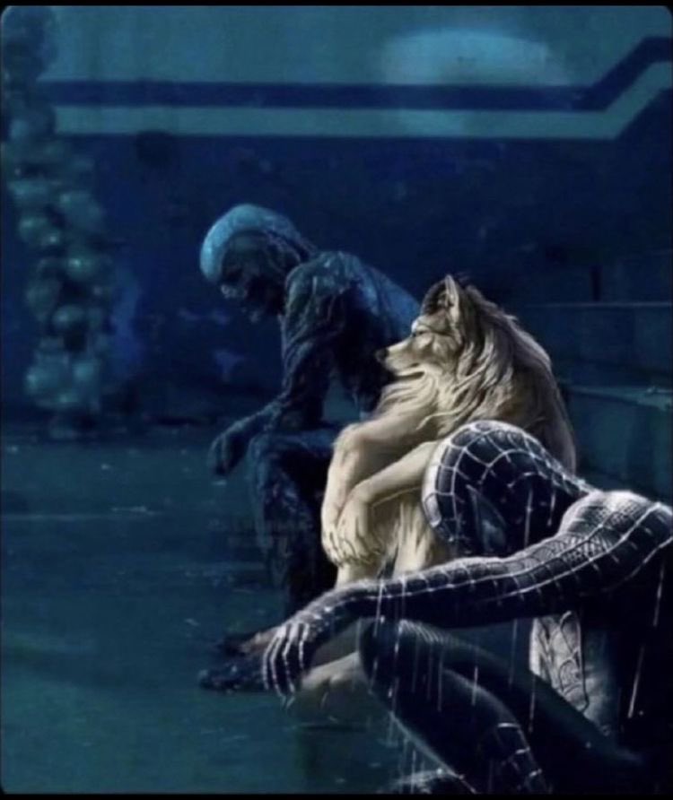 وانت تستوعب بعد البث انك تعشقهم ومستحيل تتخطاهم