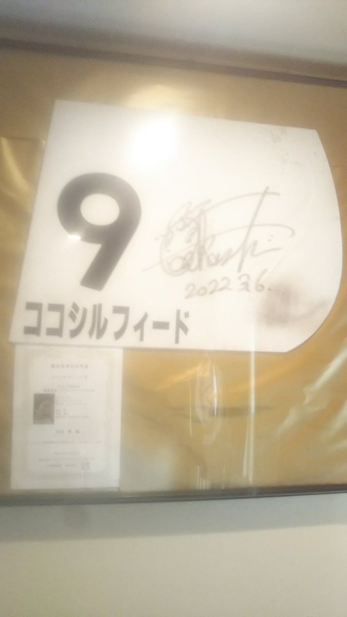 I1Eg5aM8Z3KJr5k's tweet photo. ☆ココシルフィード☆
最悪の事態だけは避けたく、懇意にしていただいている馬主さんにオークションで競り落としていただき
仲間と共に 繁殖牝馬として第二の馬生を歩み出すココちゃんに関わらせていただくことになりました🎵
応援していただいた皆さまに まずはお知らせまでー🙇 https://t.co/LB5yBCKggM