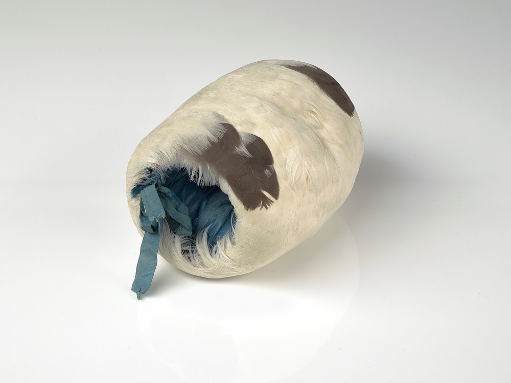 nzmuseums's tweet photo. From penguin collarettes to albatross muffs, Te Papa’s Senior Curator NZ Culture &amp; History, Claire Regnault takes a look at the peculiar plumage that once adorned early colonists and how this trade was squashed thanks to conservationists.
https://t.co/BxI06FTBqs
#ConservationWeek https://t.co/qeZ28jDupG