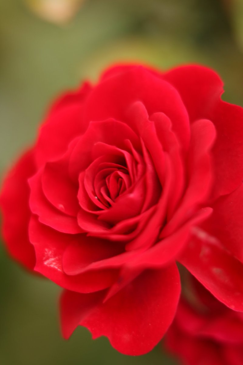 Leonel LC (@LeoLeyCar) / Posts / X