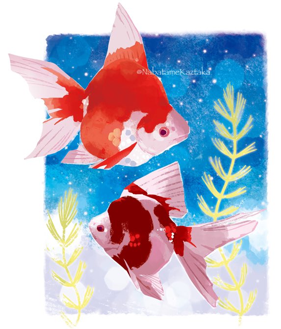 fish no humans animal focus animal white border artist name goldfish  illustration images