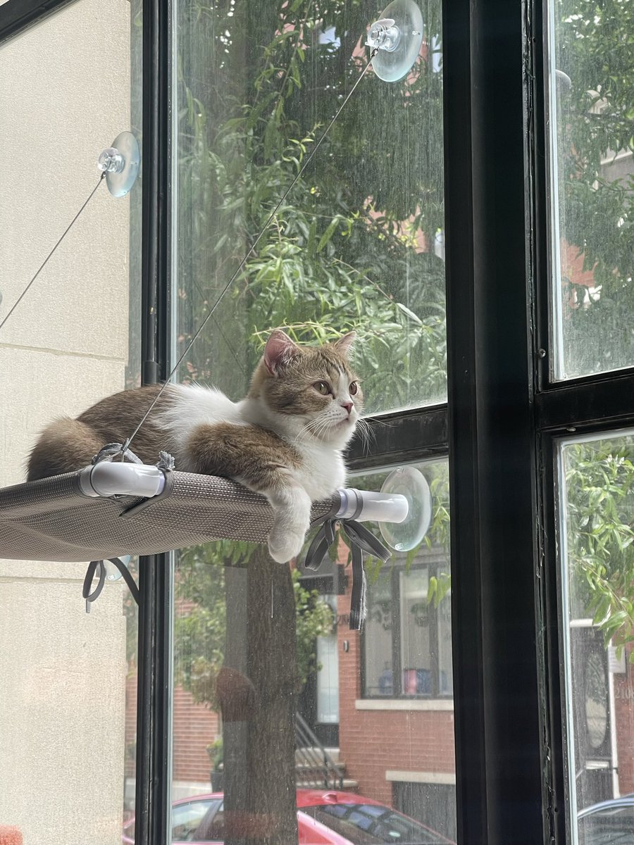 weeensie's tweet photo. happi first bday to my nico neko! i love u https://t.co/PiINEKev6U