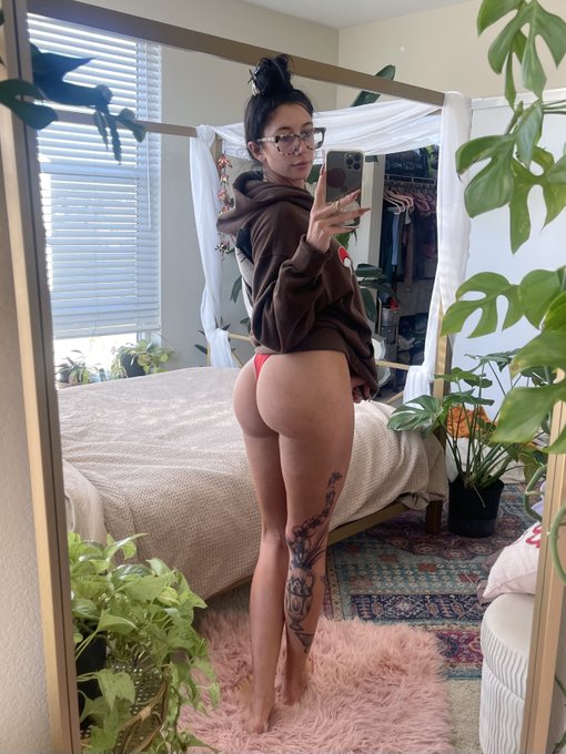 mollydixx