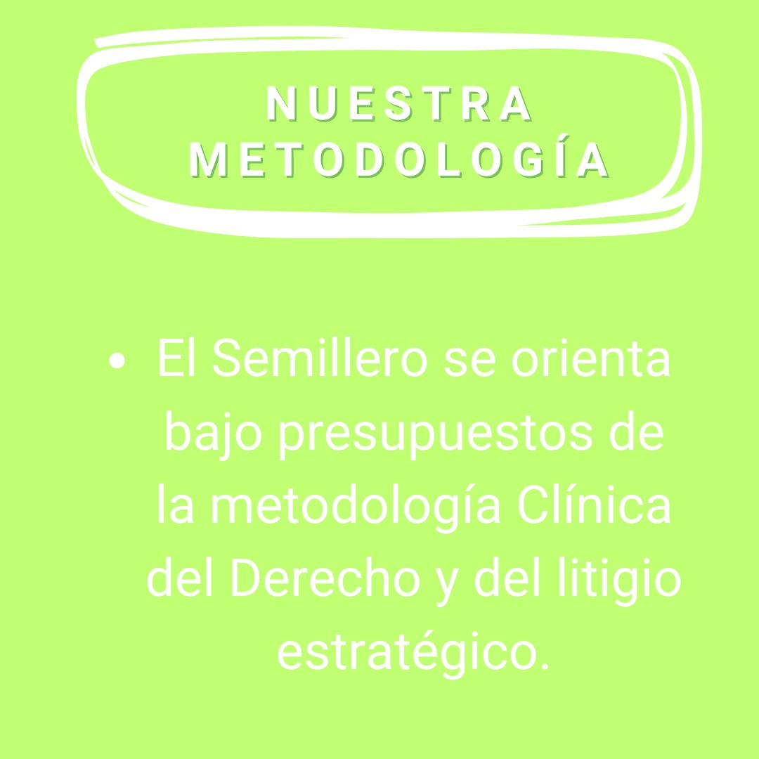 💚 Conoce nuestro Semillero 5/6
