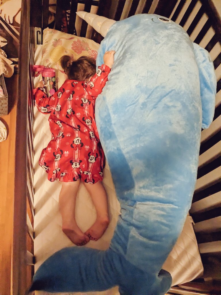Babysitter had some difficulty getting the toddler to sleep. 

'It's the only way she would go down,' she explained. 'But you might want to go remove it.' 

'Remove what??'

No answer. 

Dear reader: the 'what' was a 4ft jumbo narwhal plush