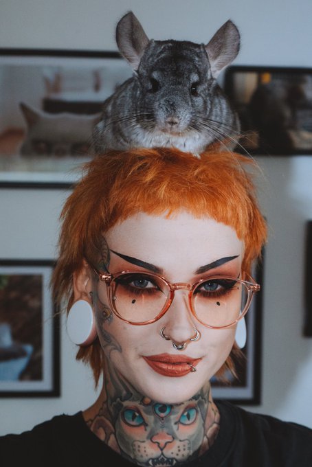 Guess how many pets i have :) first one to be correct gets a free OF month :) https://t.co/xLq5F6EXb