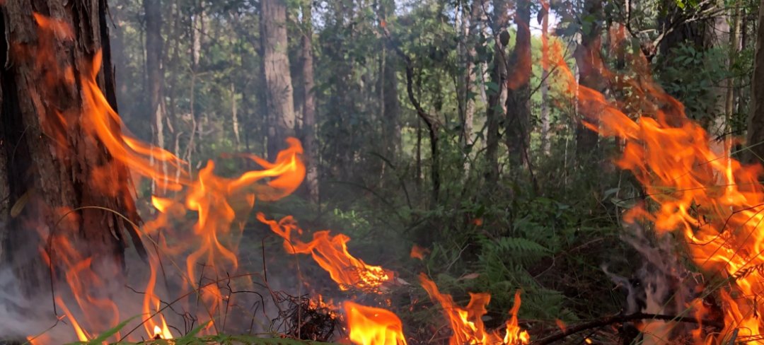 Natural Hazards Research Australia tweet media
