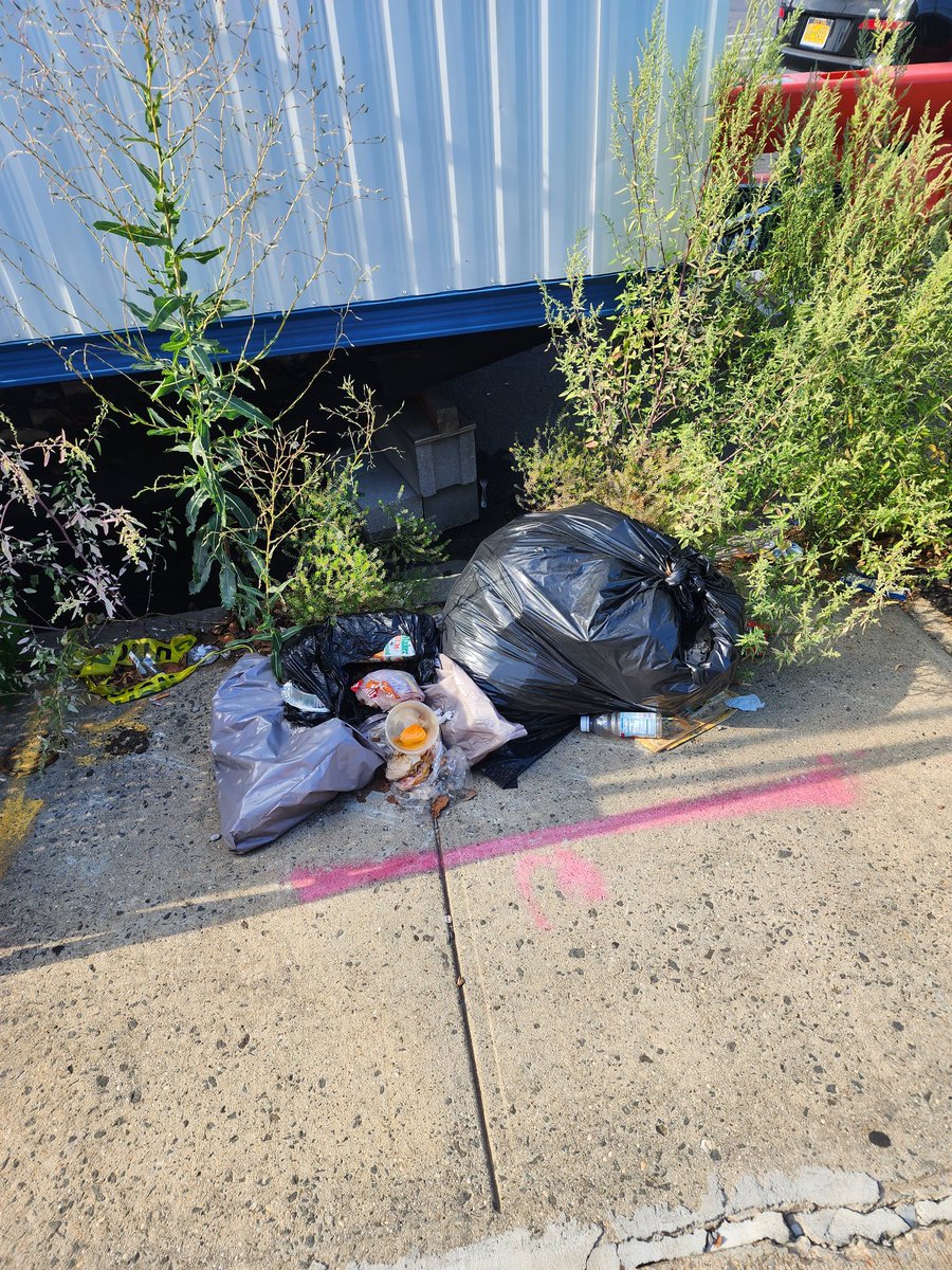 NittyRegulator's tweet photo. A hot spot for dumping ad drop offs.
Lenox rd between Remsen ave and E 57th st Brooklyn. Both sides of the street. @NYCSanitation @nyc311 https://t.co/9WFoBM2I5R