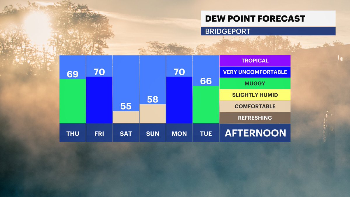 MichelePowersWx's tweet photo. 🤔Want to see how great this weekend will feel?
➡️ https://t.co/4beDFwSjxV
#n12stormwatchers #ctweather #augustweekend #weekendvibes
@news12ct https://t.co/0LSvL2ptit