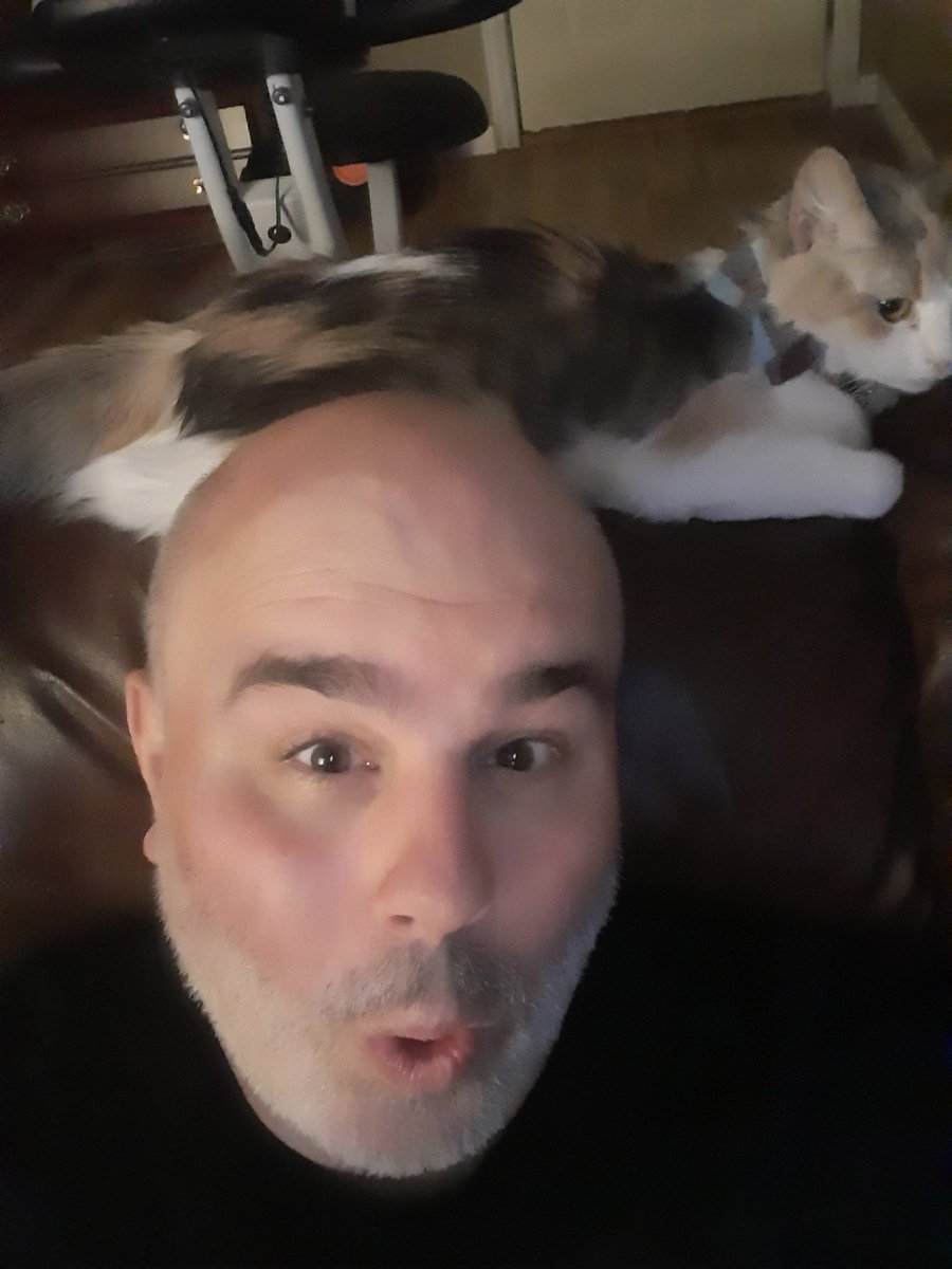 BSterlingWolf's tweet photo. One of the benefits of a bald shaved head is that having a cat feather dust you with their tail feels nice. https://t.co/qKQhdizX5S