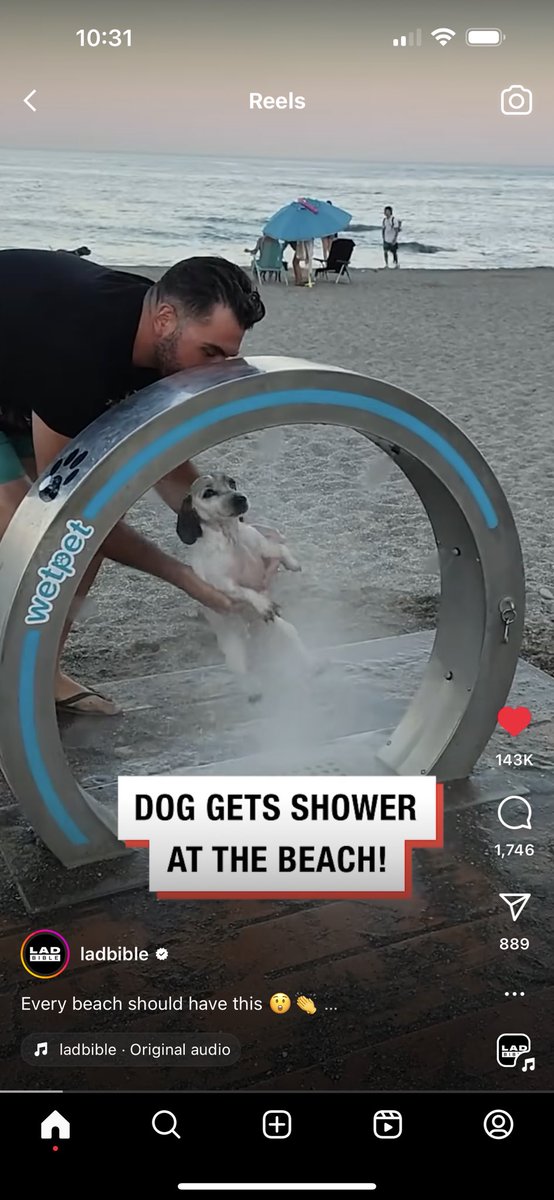 Okay all Florida beaches should have this for the pups ☺️