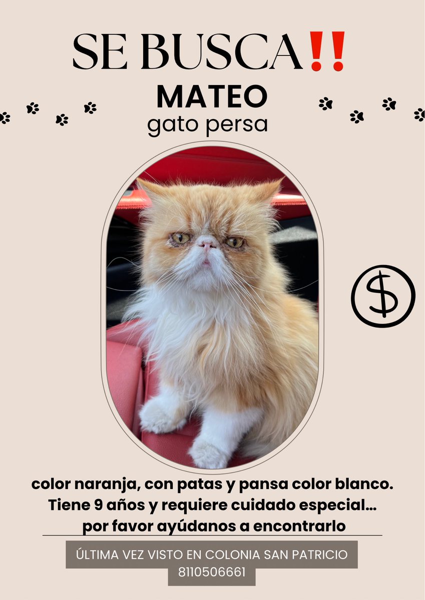 Les pido ayuda compartiendo para encontrar a mi gato que no encontramos desde ayer. 
Se perdió en la Col San Patricio (spgg), es un gato mayor que necesita cuidados especiales🥹🙏🏼 

<a href="/MAGS_SP/">MAGS_SP</a>