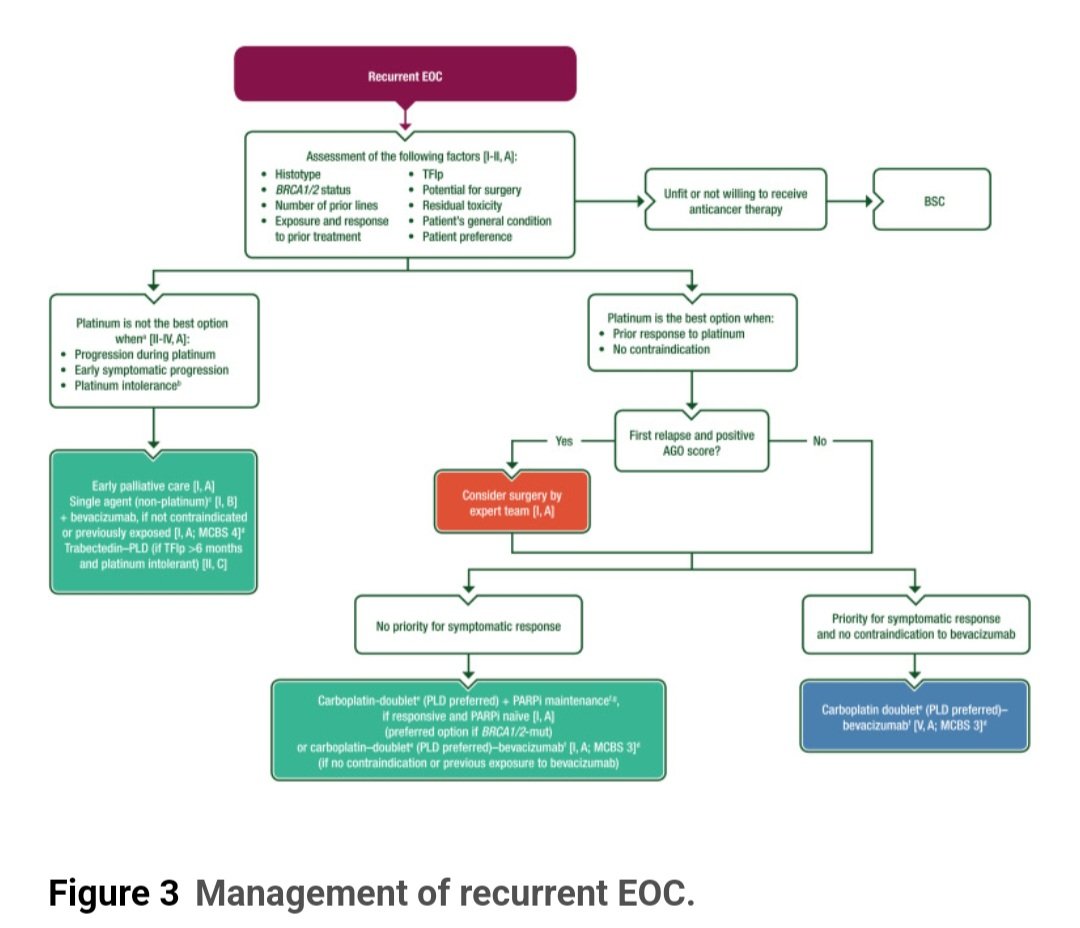 Newly diagnosed and relapsed epithelial ovarian cancer: ESMO Clinical Practice Guideline for diagnosis, treatment and follow-up👇 @myESMO @Annals_Oncology @OncoAlert annalsofoncology.org/article/S0923-…