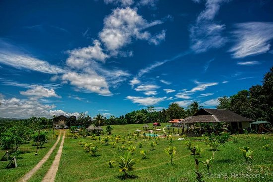 QMC Project tweet media