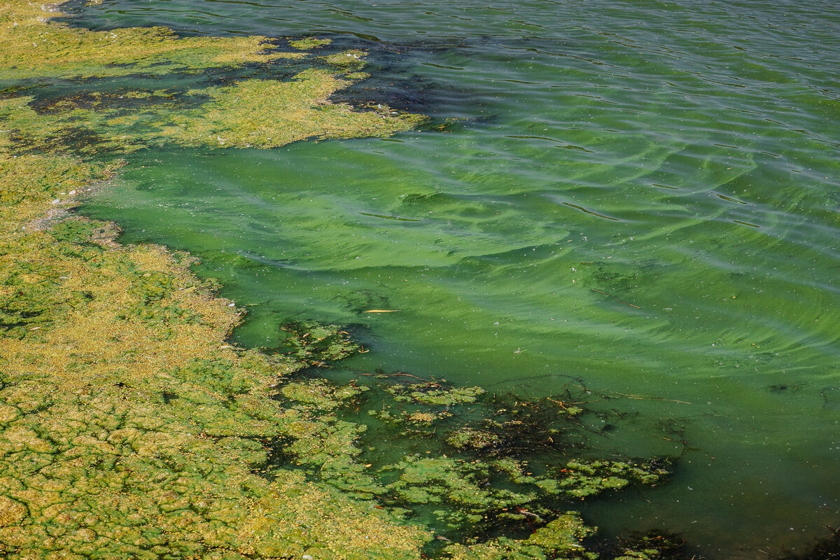 GGD Limburg-Noord tweet media