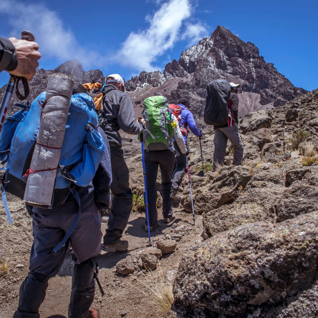 JerryTours's tweet photo. Soaring above the African scrublands of Tanzania and Kenya, the Kilimanjaro Climb is sure to be the journey of a lifetime. 

visit us @ https://t.co/nj7m2fJour 

Book now

Email: info@jerrytanzaniatours.com

Phone: +255 742 799 217

#Jerrytanzaniatours #Uhurupeak https://t.co/jdNhf7toB1