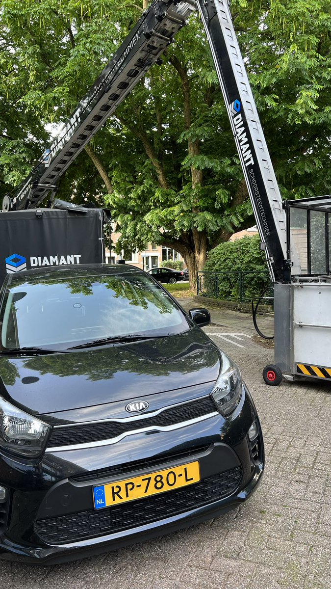 Anne Marie Hazenberg tweet media