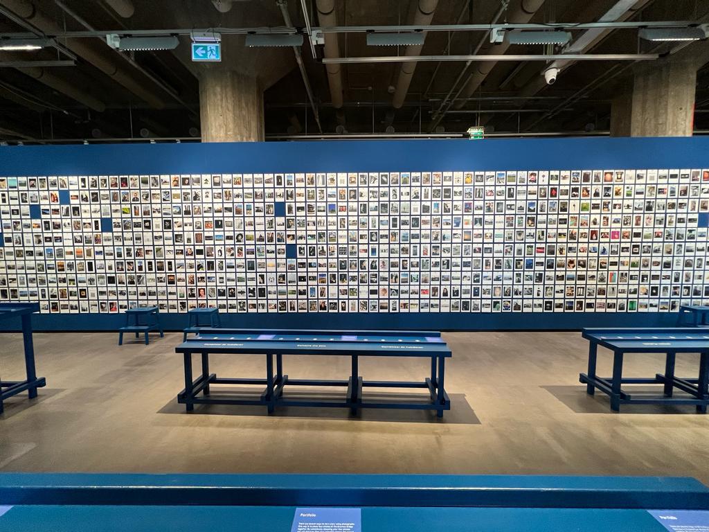 Platform_P tweet media