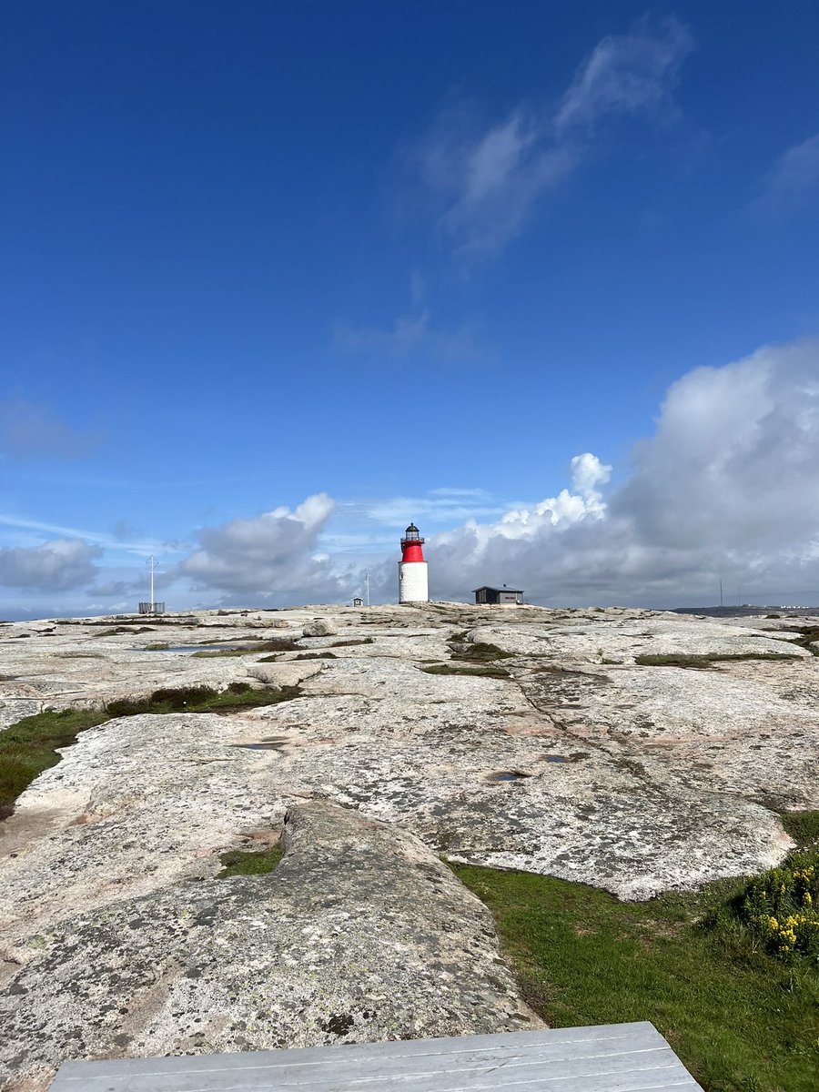 Andrei Sabelfeld tweet media