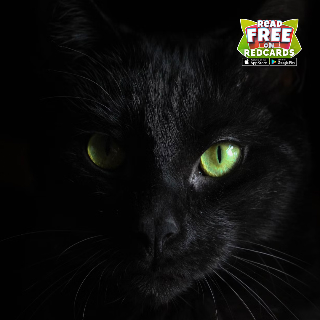 RedCards tweet media