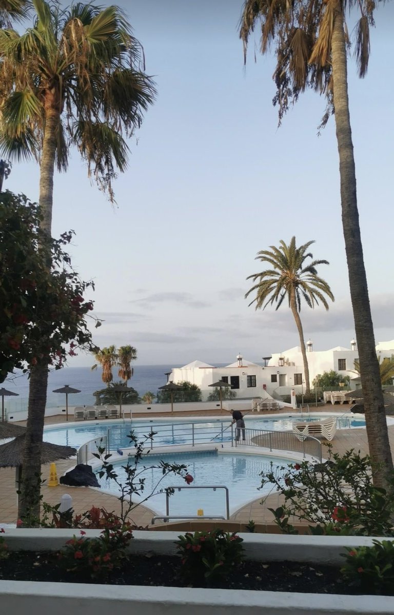 Terrie Weather Lanzarote🦋 tweet media