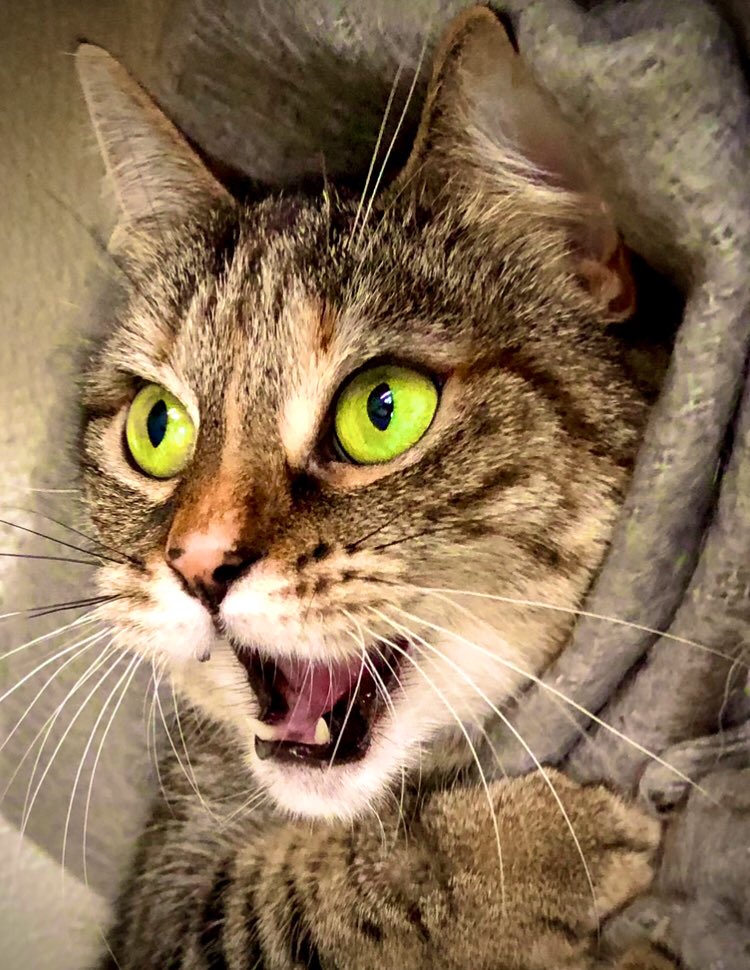 Living her best life ❤️