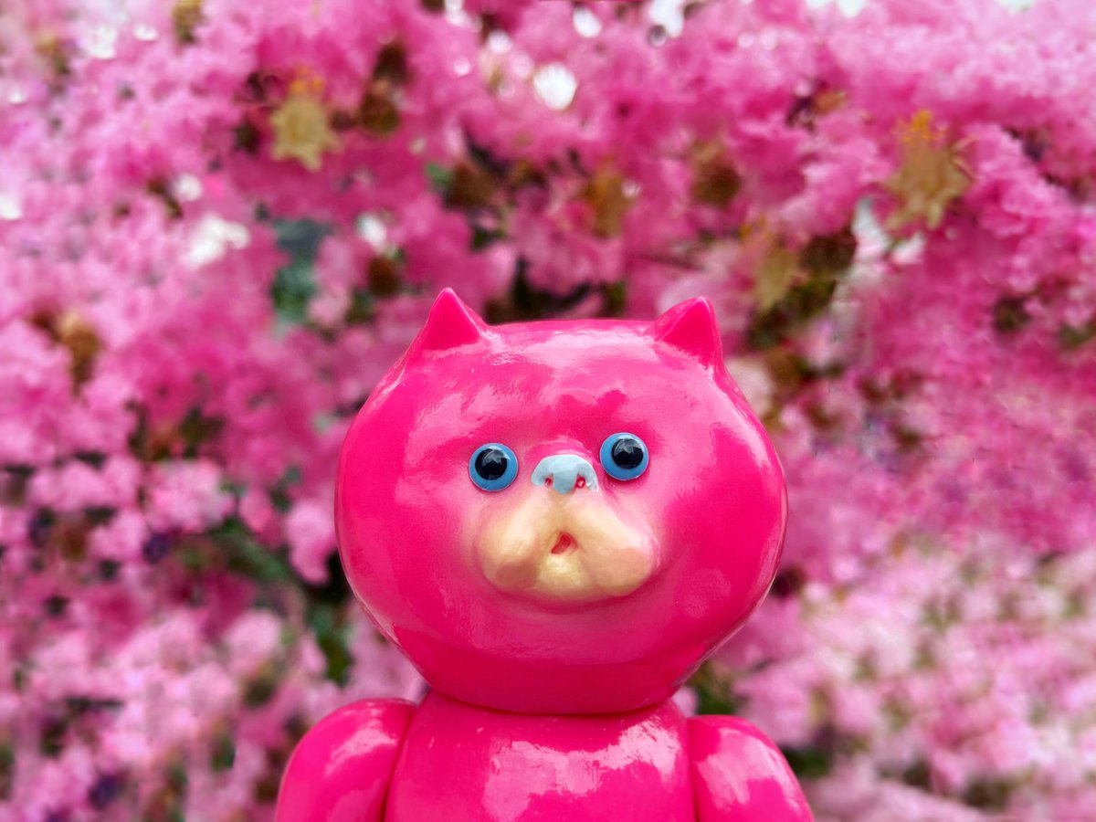 wilson1980's tweet photo. 💗
@m_mainagamto https://t.co/LjBjHf64NZ