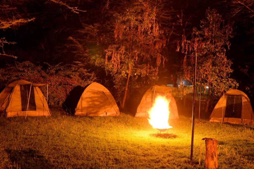 Stejos_Tours's tweet photo. Are you looking for a place where you can do camping? then think of Burch's Resort Naivasha. Burchs resort is a budget pocket friendly camping and cottage thats provides a stylish escape in a serene location and has a lake front view.
Book with us
0795046018
0799030781
0715293975 https://t.co/80FP778IuW